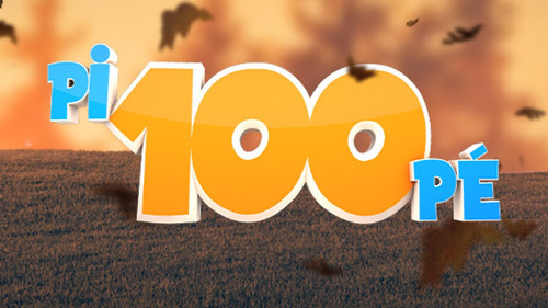 Pi100Pé Bild 2