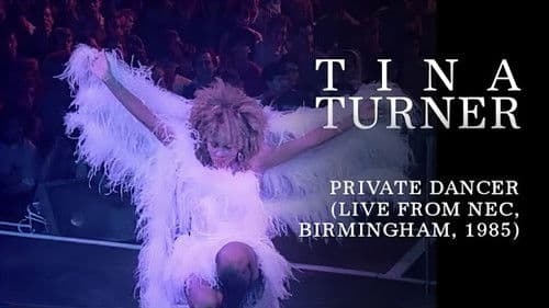 Tina Turner: Private Dancer Tour Bild 2