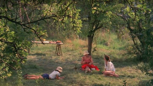 Celles qui restent Bild 1