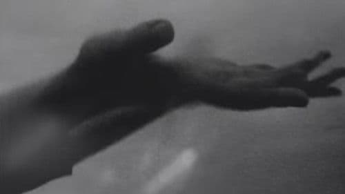 Odin's Shield Maiden Bild 4