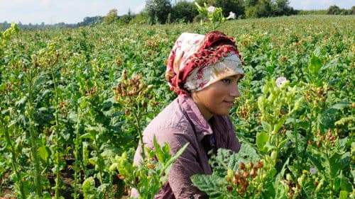 Abenteuer Türkei Bild 6