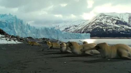 The Future Is Wild Bild 5