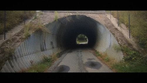 Wandering: The Art of Noticing Bild 6