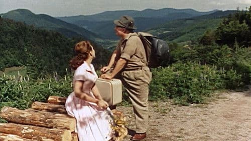 Der letzte Fußgänger Bild 3