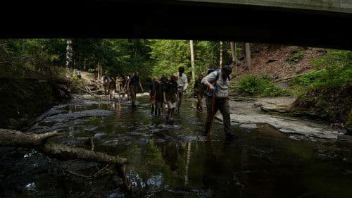 Hungarian Scouts Bild 5