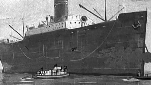 トラちゃんのカンカン虫 Bild 2