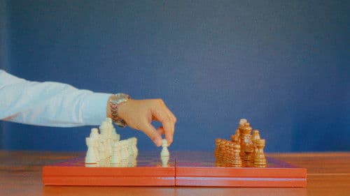 The Monkey Conflict Bild 4