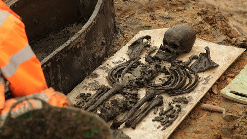 Britain's Biggest Dig Bild 1