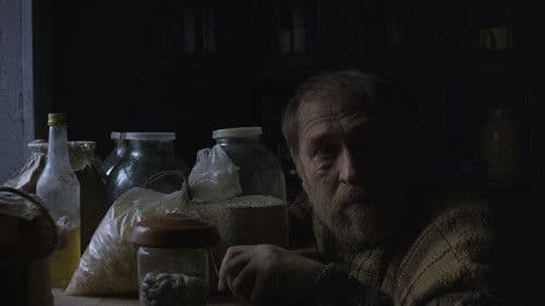 Сірі бджоли Bild 3