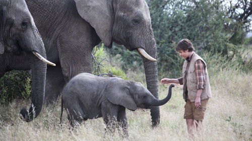 An Elephant's Journey Bild 5