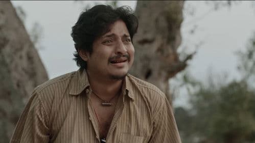 ପାବାର୍ Bild 2