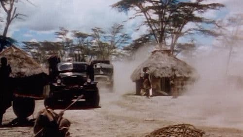 Jungle Safari Bild 1