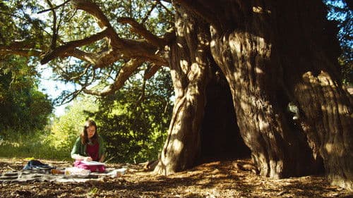 A Kingdom of Tea & Strangers Bild 7