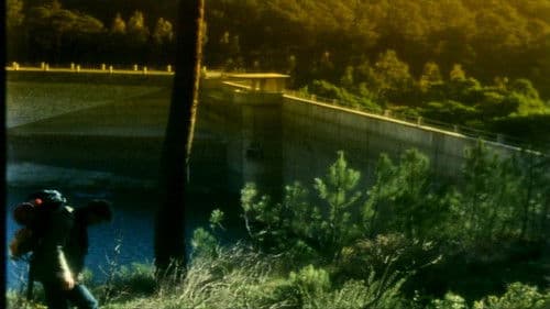 O Território Bild 8