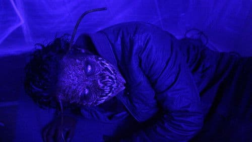 The Metamorphosis Experiment Bild 2