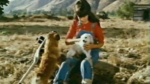 Hambone and Hillie Bild 5