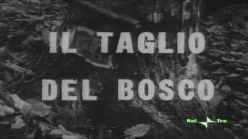Il taglio del bosco Bild 3