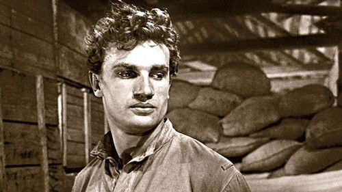 Der Kommunist Bild 4