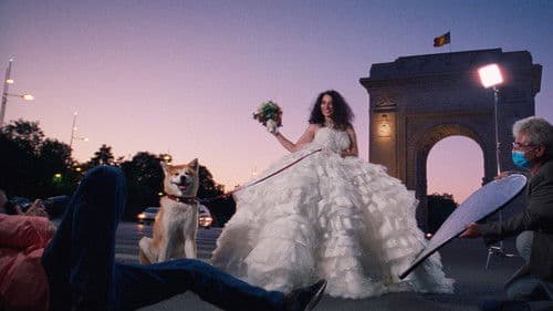 Bad Luck Banging or Loony Porn Bild 5