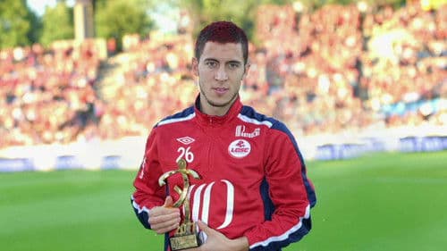 Feld der Stars Bild 3