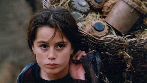 Schildkröten können fliegen Bild 5