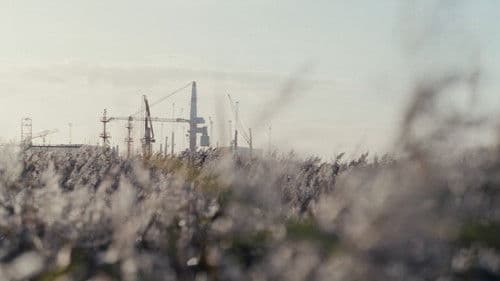 MOOR STADT HAFEN Bild 1