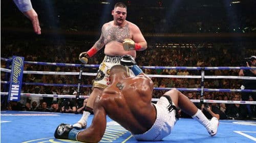 One Night: Joshua vs. Ruiz Bild 1