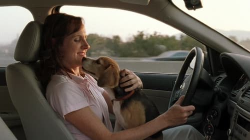 Das Jahr des Hundes Bild 8