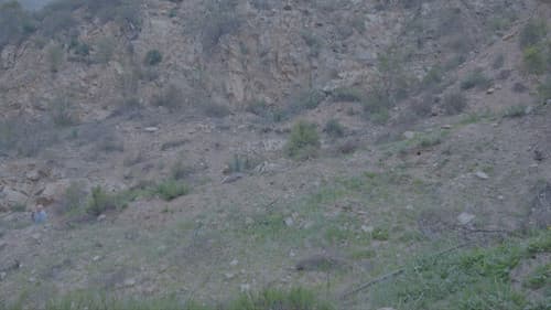 On My Way Home Bild 4