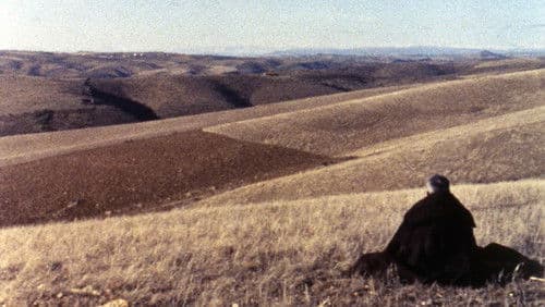 Trás-os-Montes Bild 3