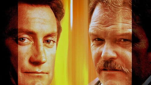 F/X - Tödliche Tricks Bild 8