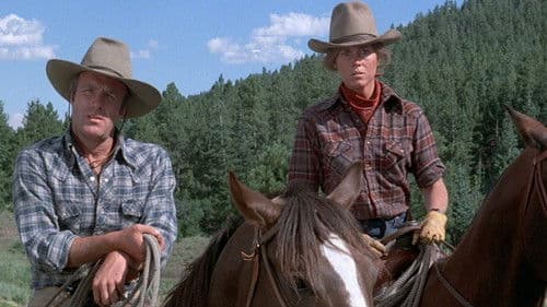 Eine Farm in Montana Bild 4