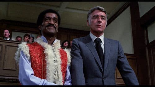 Die Pechvögel Bild 8