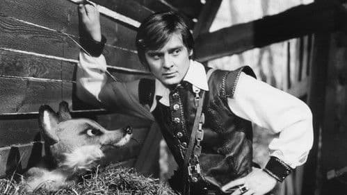 O ptáku Ohniváku Bild 1