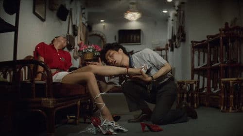 바보 선언 Bild 2