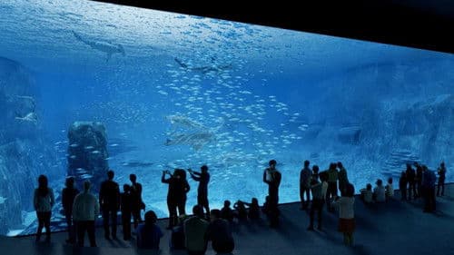 Nausicaa, le plus grand aquarium d'Europe Bild 1
