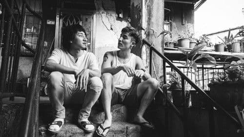 優雅的相遇 Bild 2