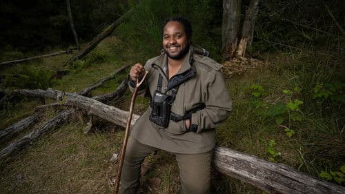 Scotland: Escape To The Wilderness Bild 3