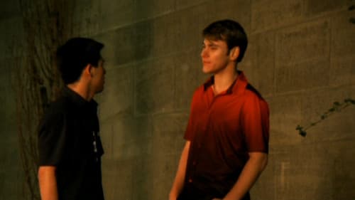 Contradictions Bild 2