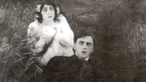 После смерти Bild 3