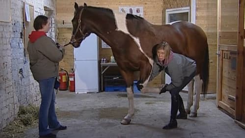 Rörelse utan Gränser Bild 1