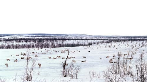 Into the Land of Ice and Fire Bild 3