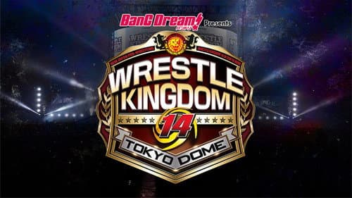 NJPW Wrestle Kingdom 14: Night 2 Bild 7