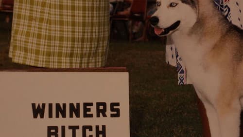 Winners Bitch Bild 1