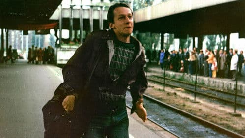 Der Zufall möglicherweise Bild 6