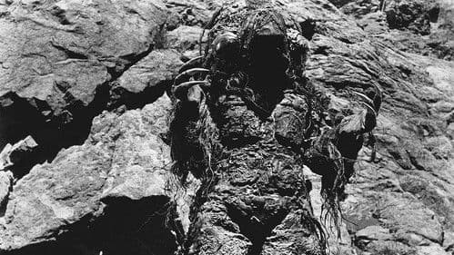 Das Grauen kam um Mitternacht Bild 2