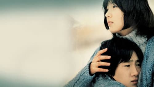 국화꽃 향기 Bild 4