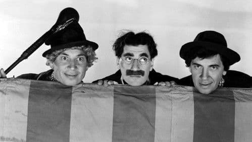 Die Marx Brothers im Zirkus Bild 5