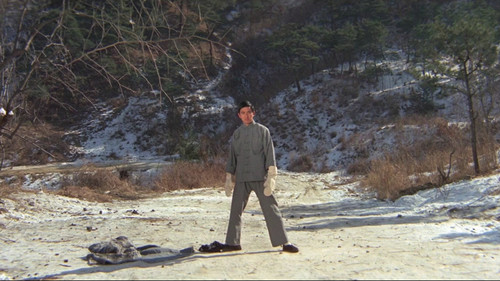 Wang Yu - Sein Schlag war tödlich Bild 8