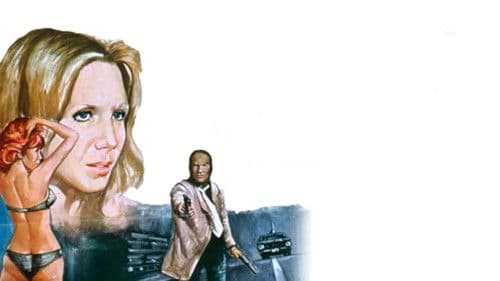 Due Magnum .38 per una città di carogne Bild 1